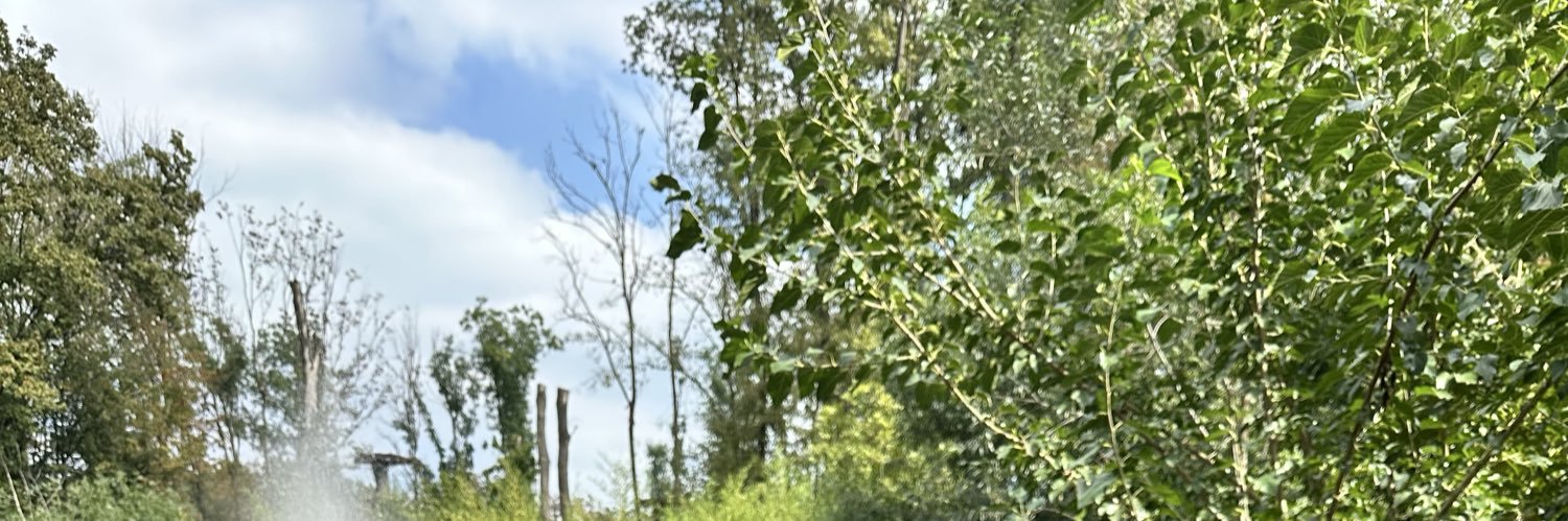 akyurekpelin's profile banner image