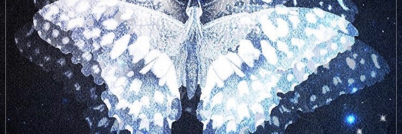 TaiochiIsabelle's profile banner image