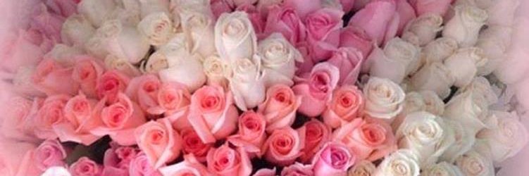 GUSLISTOVA_ALB's profile banner image