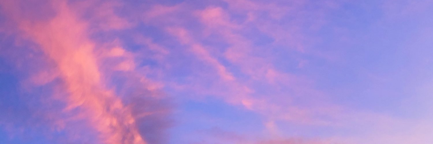 Bvllesterr's profile banner image