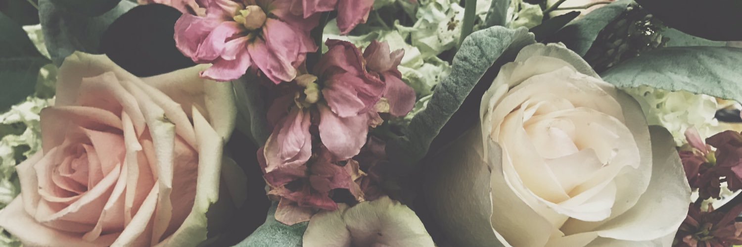 eIev47ed's profile banner image