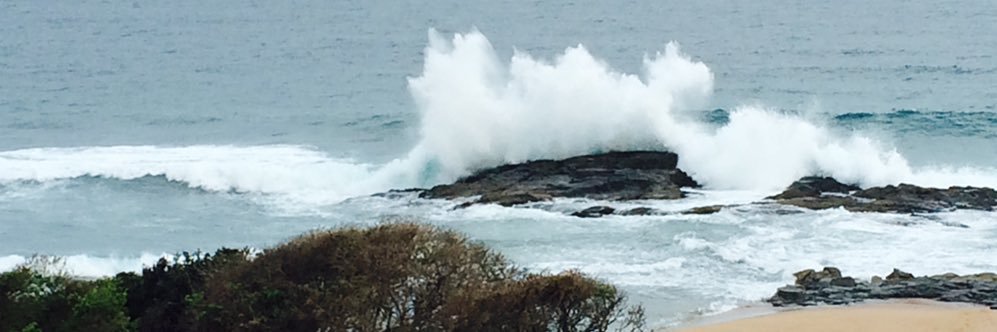 Muhammad Omar banner