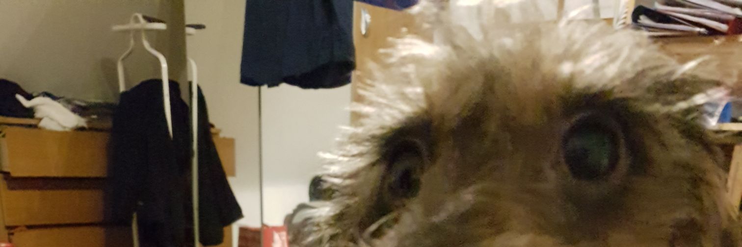 DanKerry15's profile banner image