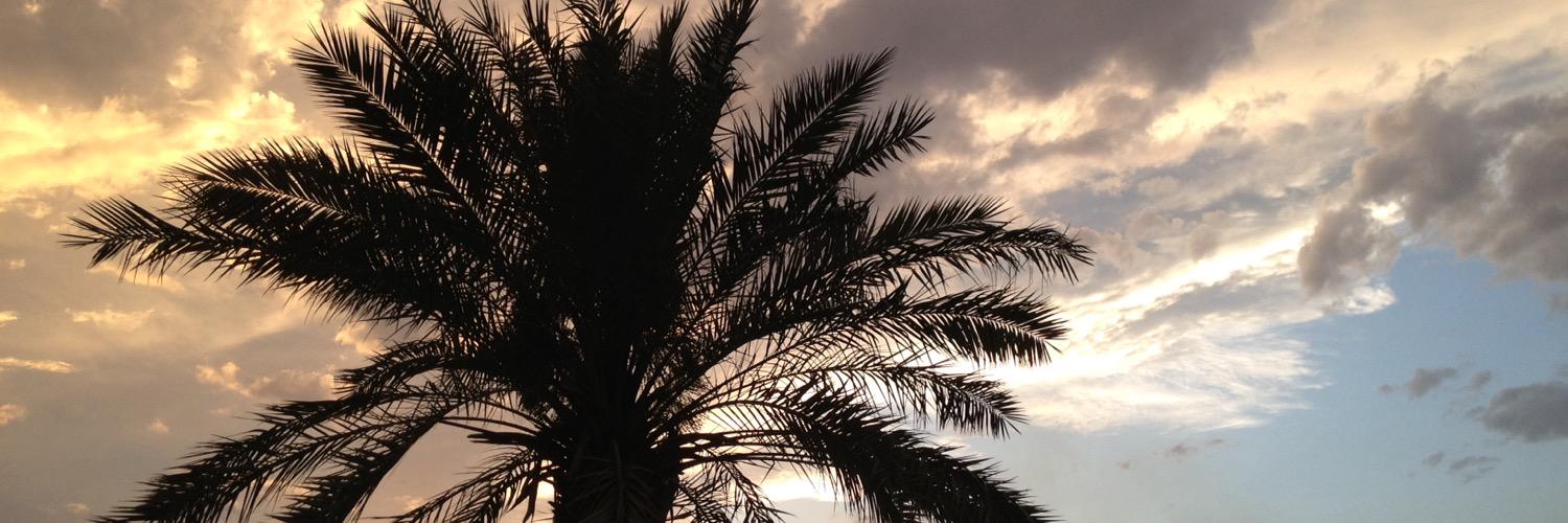 AliraqeD's profile banner image