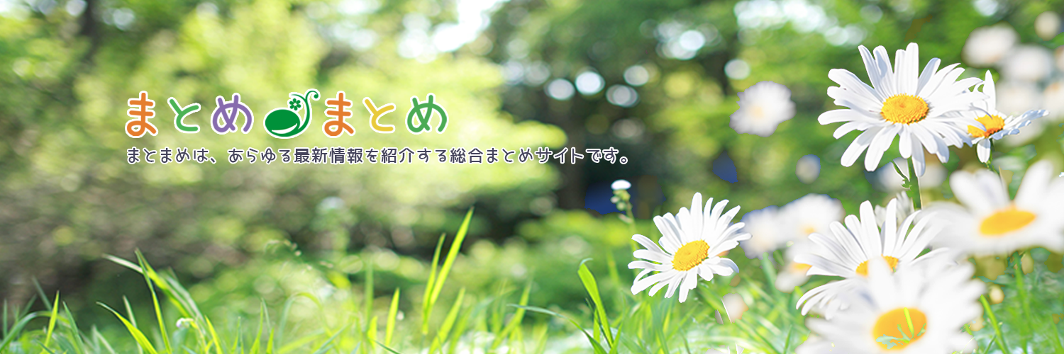 まとめまとめニュース＠相互フォロー100% banner