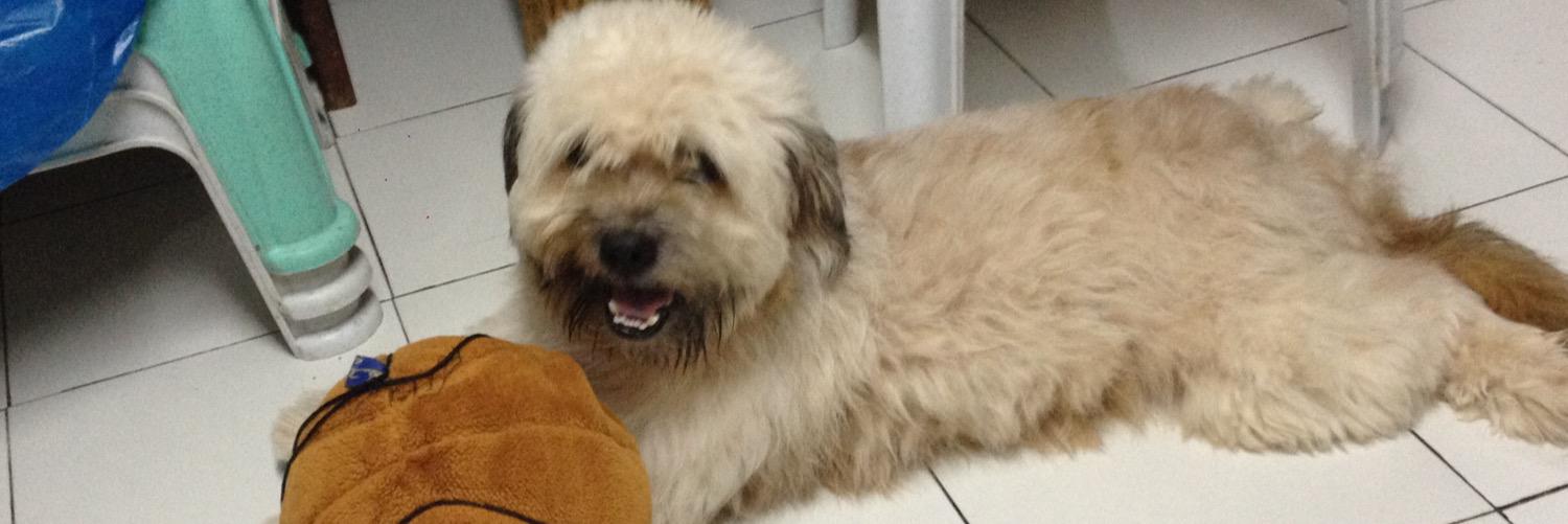 Randolph B. Leongson banner