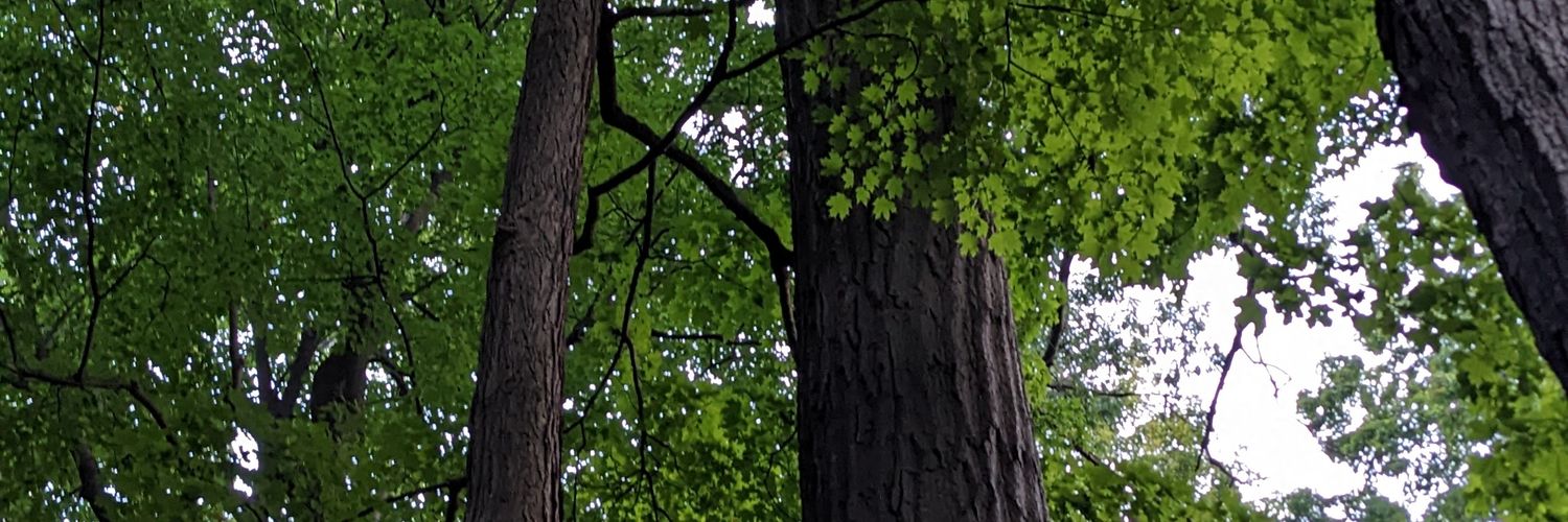 kjllljohnson's profile banner image