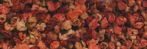 lole_tz's profile banner image