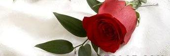siham_sd's profile banner image
