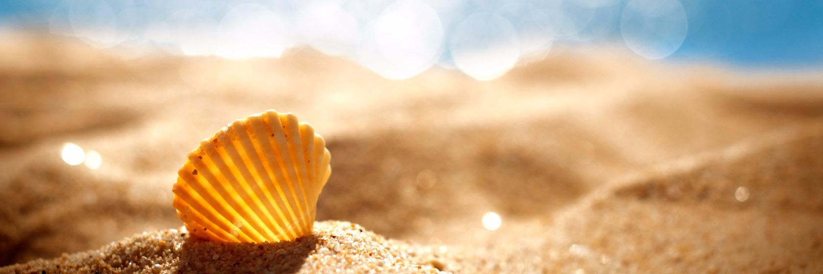 destin_days's profile banner image