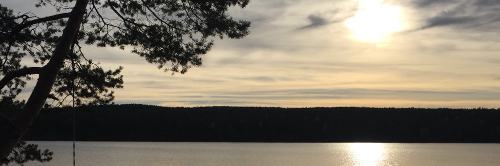 aleksander_hs's profile banner image