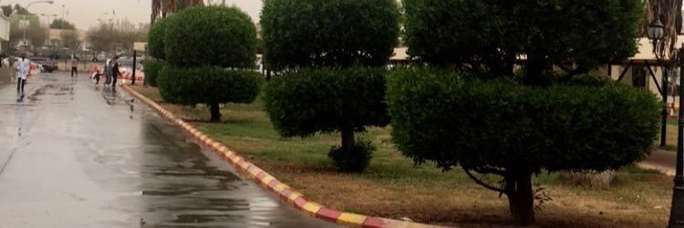 h995q's profile banner image