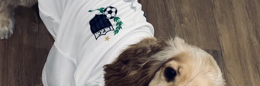LauraSosa059's profile banner image