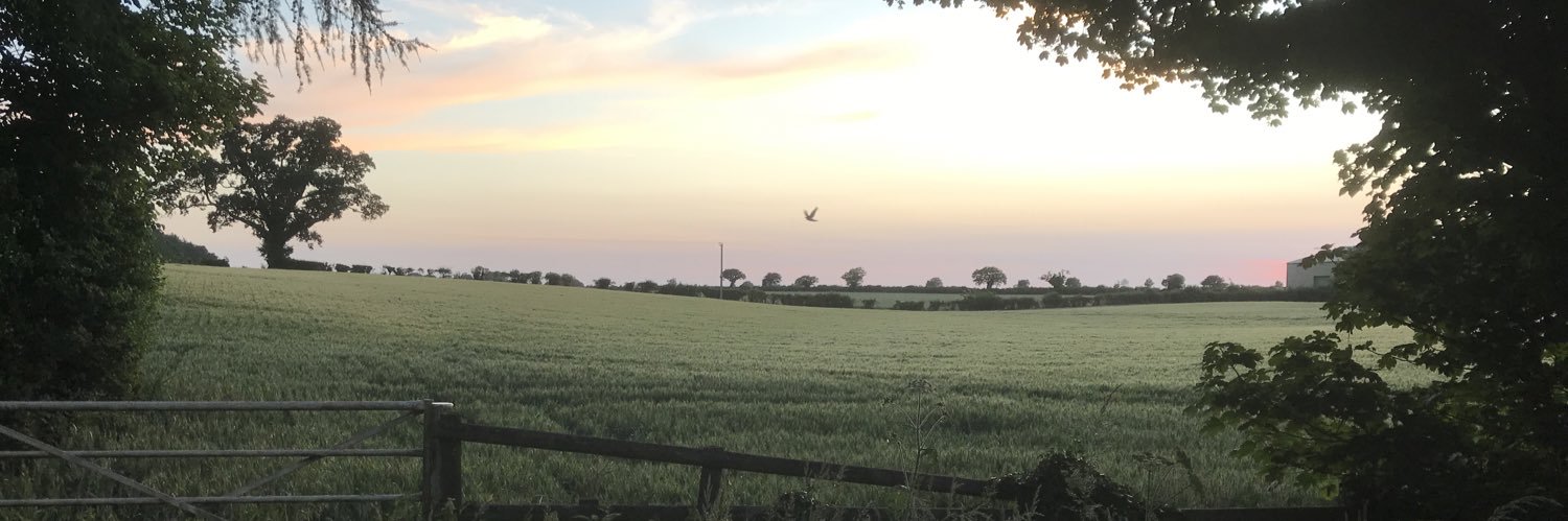 amiablechappy's profile banner image