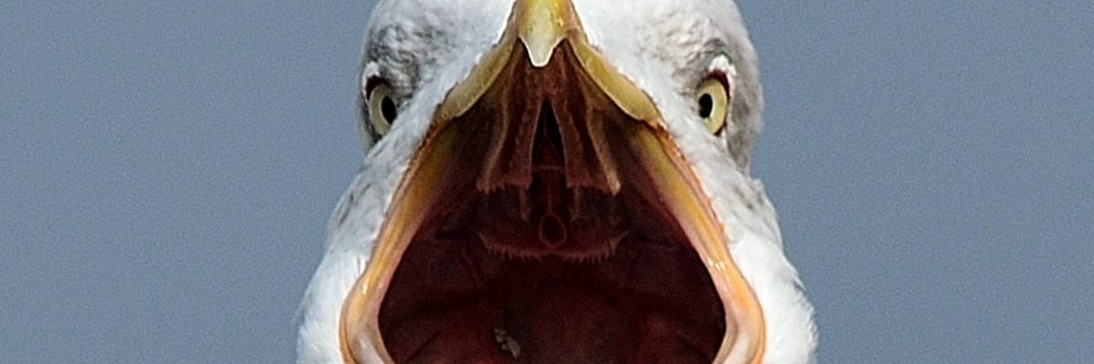 fg_linklater's profile banner image
