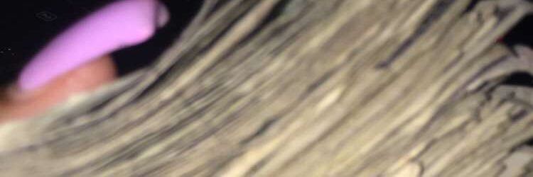 briherself_'s profile banner image