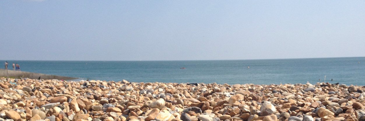 Emily Shields banner