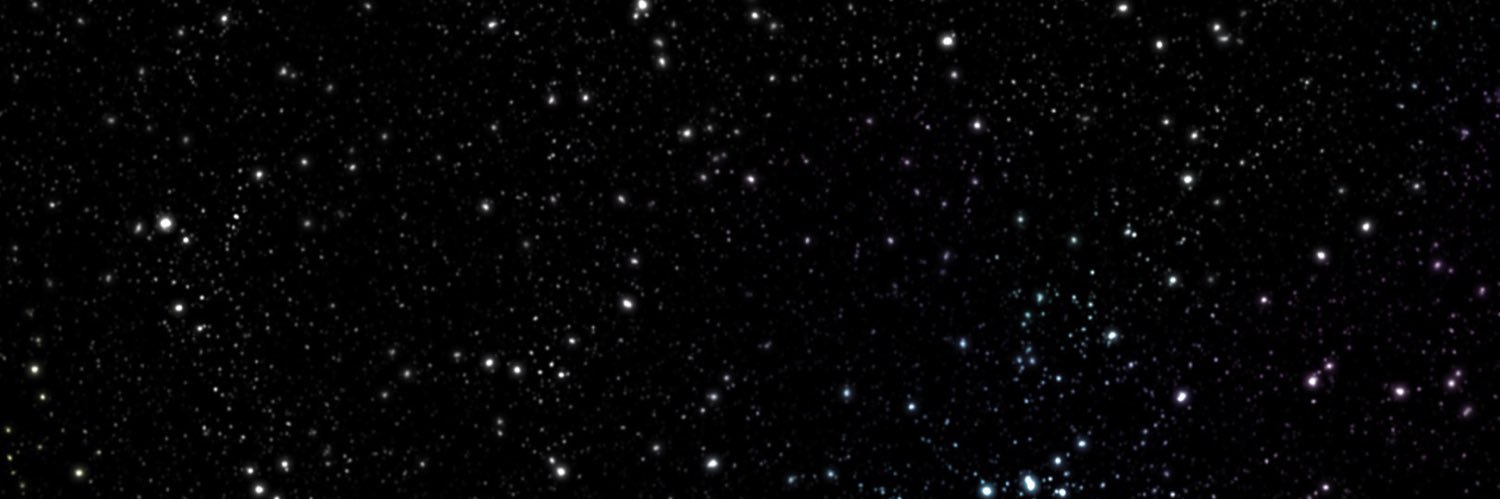 Twitter banner for @Handbag
