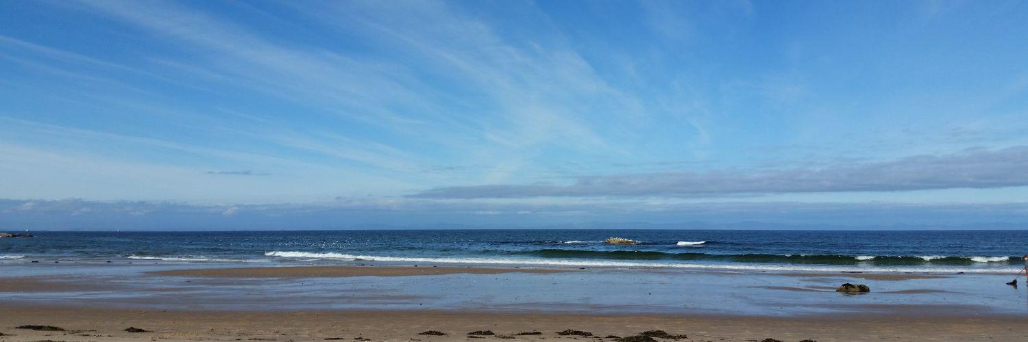 suzanne offer banner