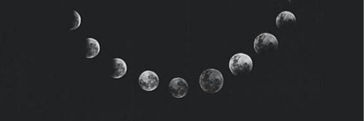LizzTheGinger's profile banner image