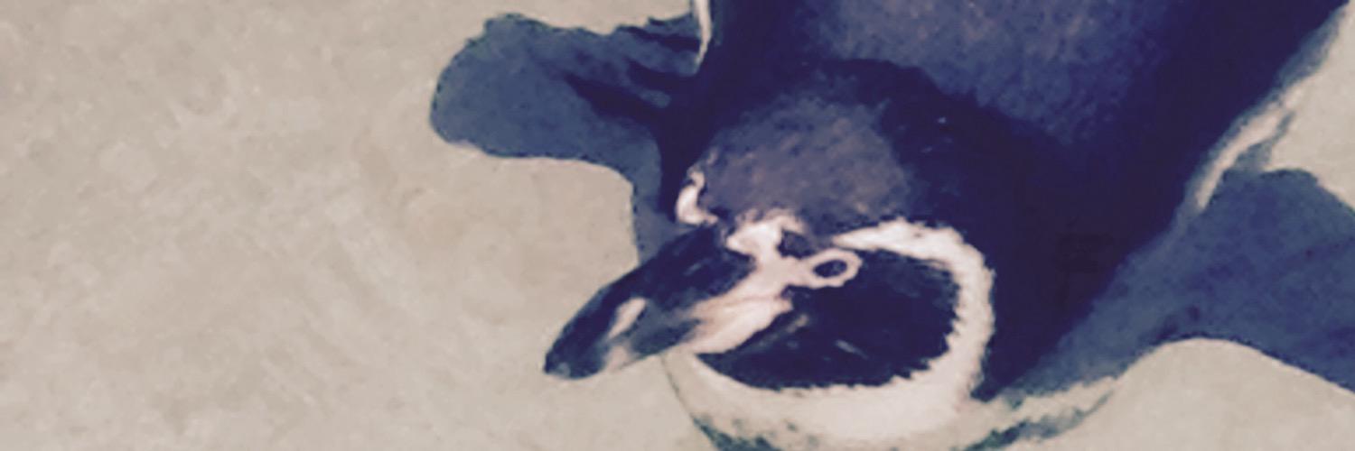 PKeaney's profile banner image