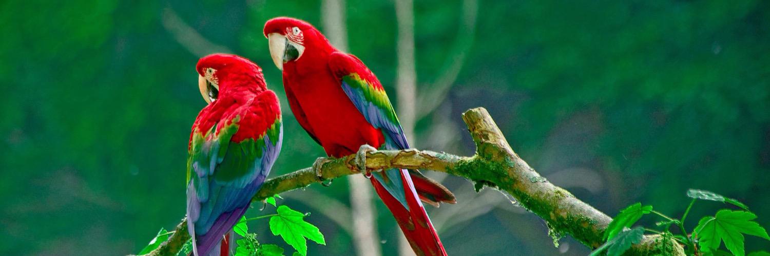 yany_chandresh's profile banner image