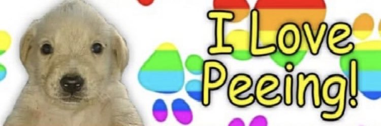 LCatcat21's profile banner image