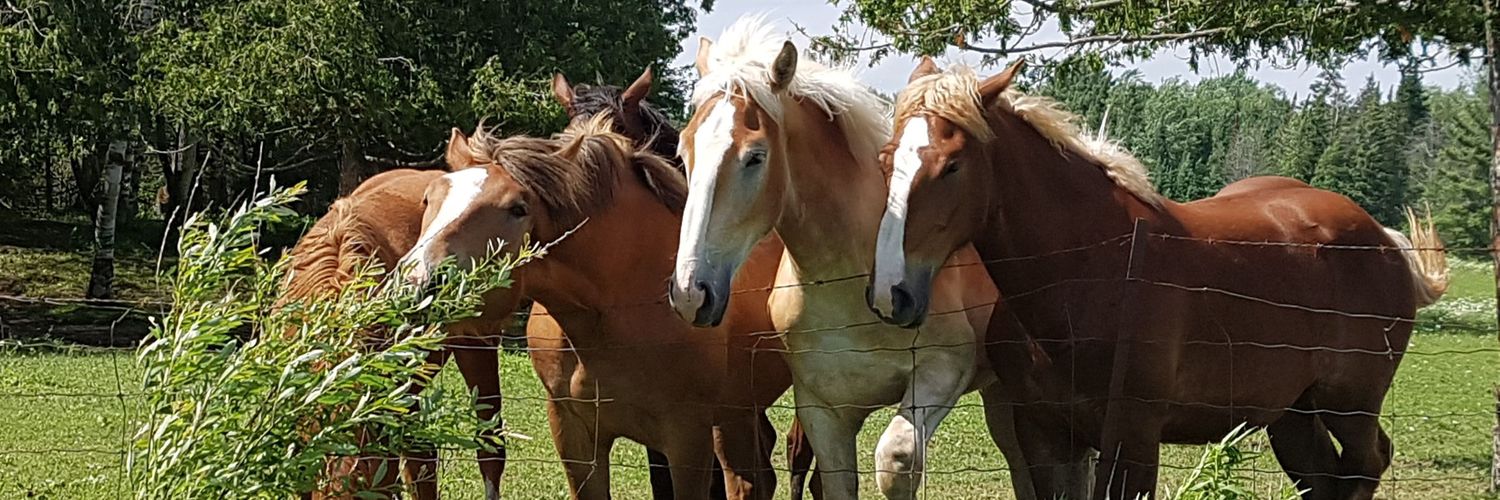 CountryVape's profile banner image