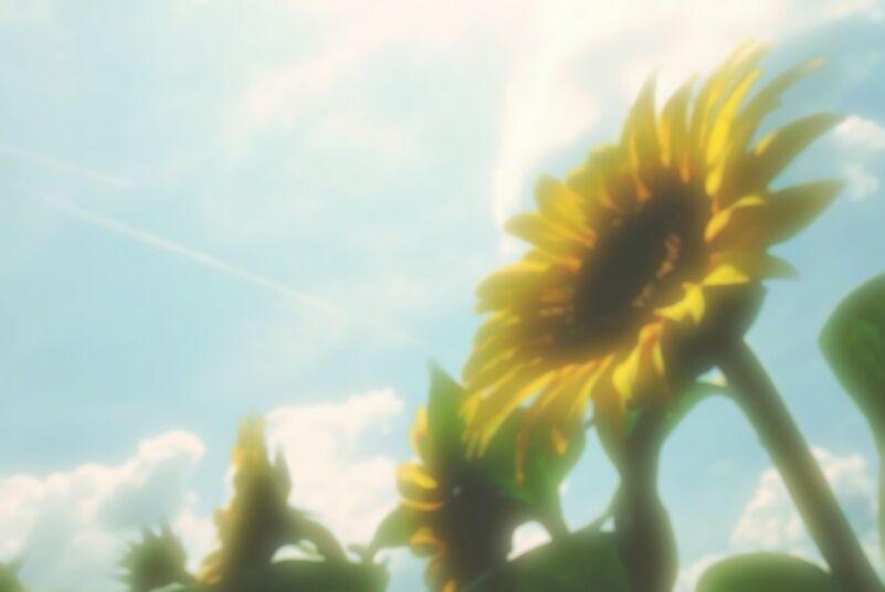 33322888__'s profile banner image