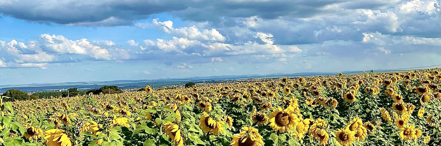 _haru05__'s profile banner image