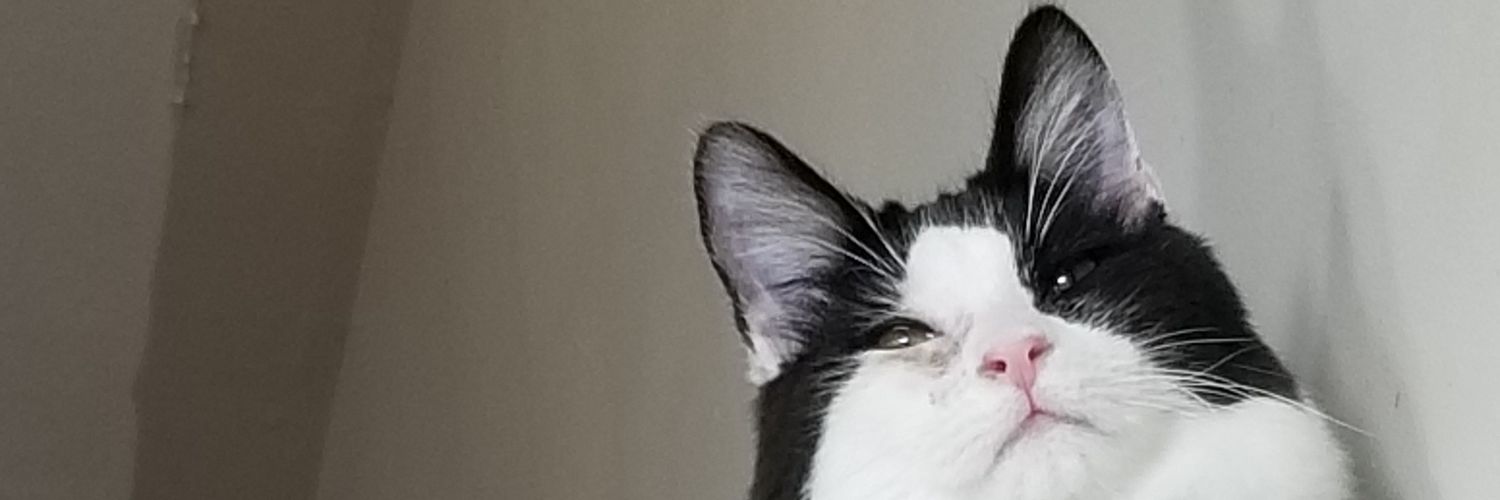 ReddestBread's profile banner image