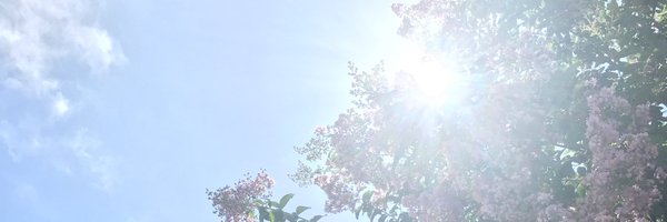 neryssaazlan Profile Banner