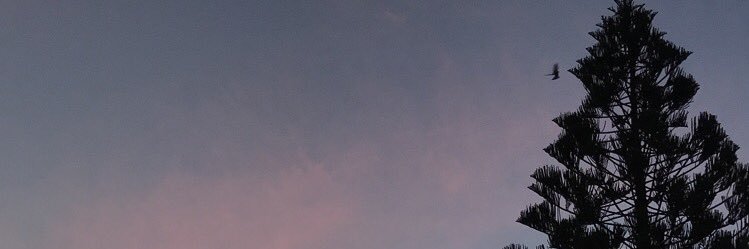 UncleDayts's profile banner image
