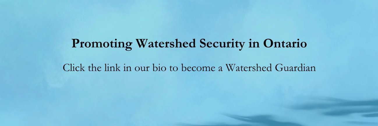 onheadwaters's profile banner image