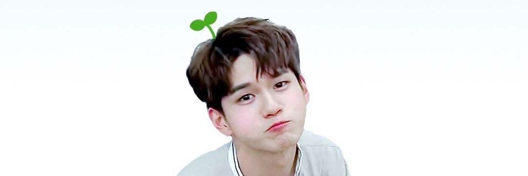 YouYouChenChen's profile banner image