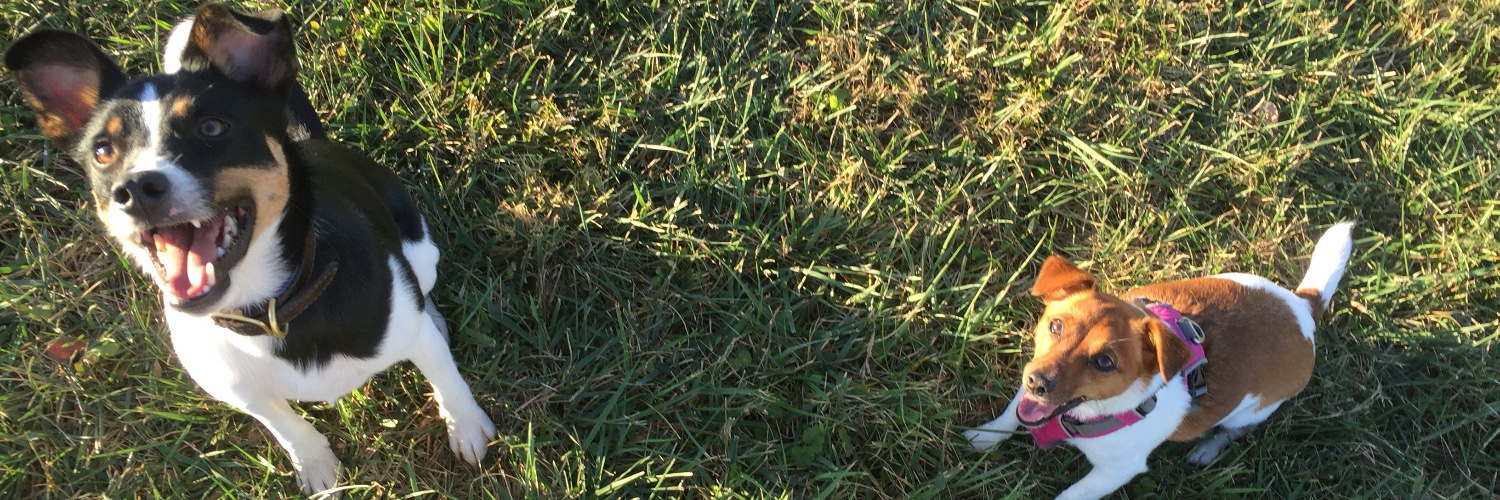 patrickodowd's profile banner image