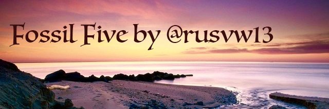 fossil_five's profile banner image