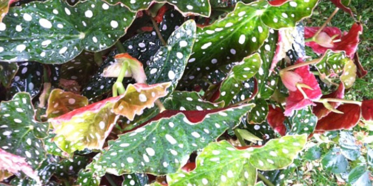 _remarkablyME's profile banner image
