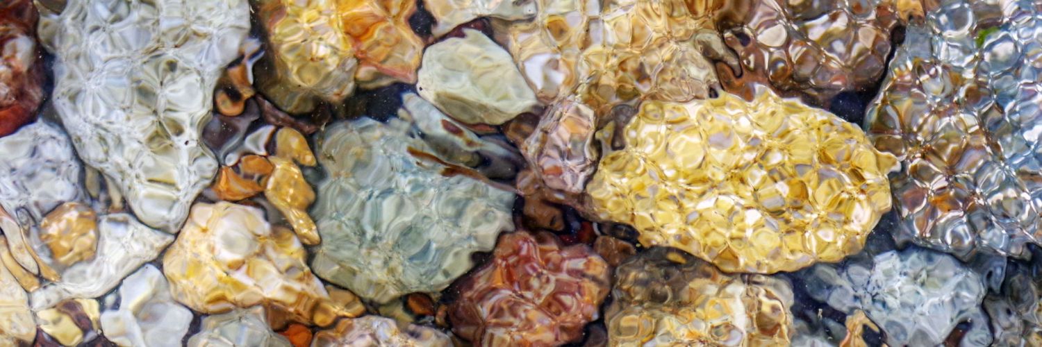 LouiseFHarris's profile banner image