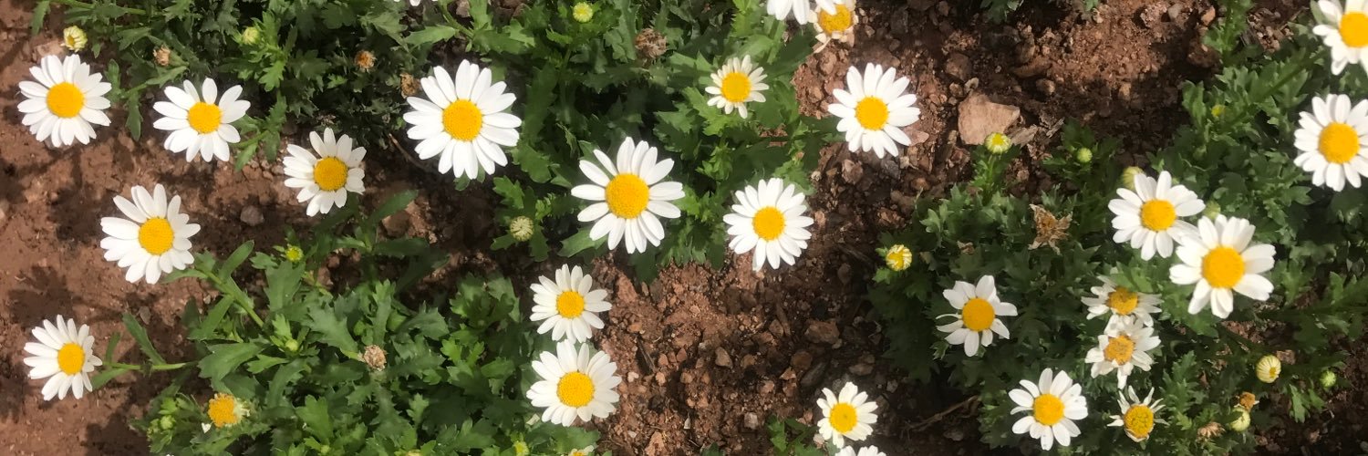 StephanieCharen's profile banner image