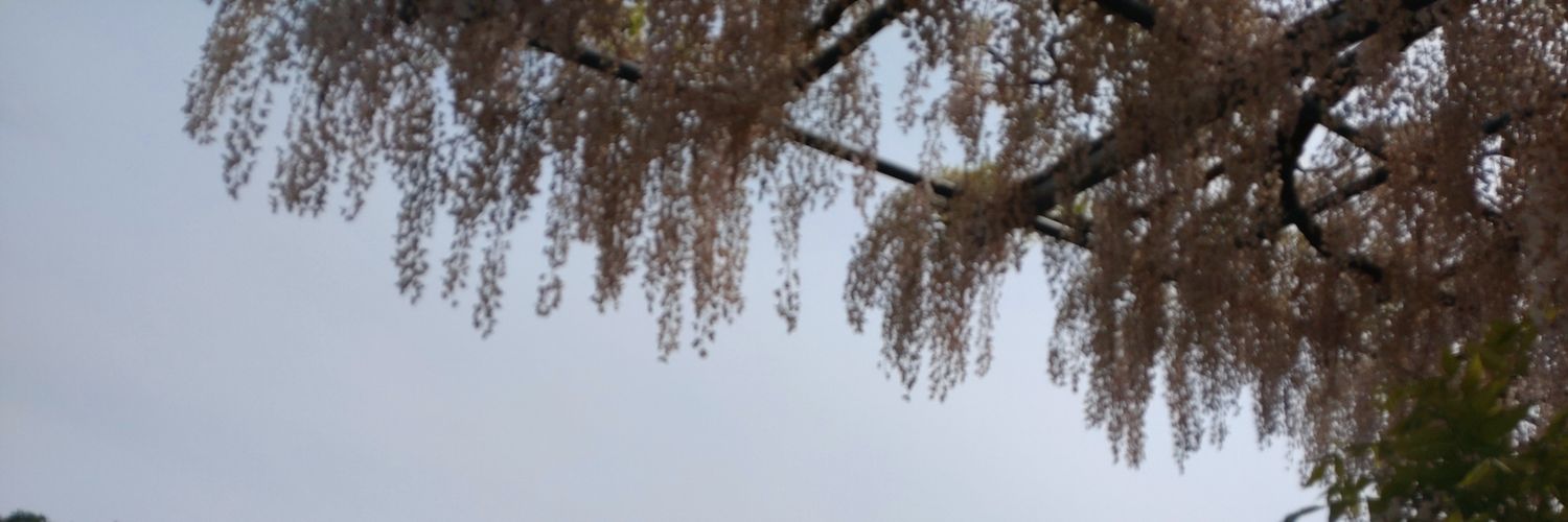 すもも banner