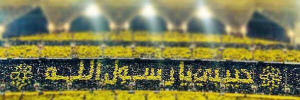 TigersItti1's profile banner image