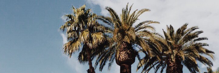 peytonmcox's profile banner image