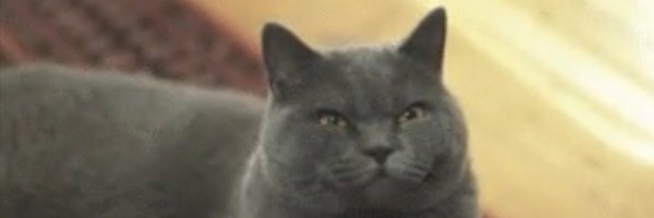 lariqueee Profile Banner