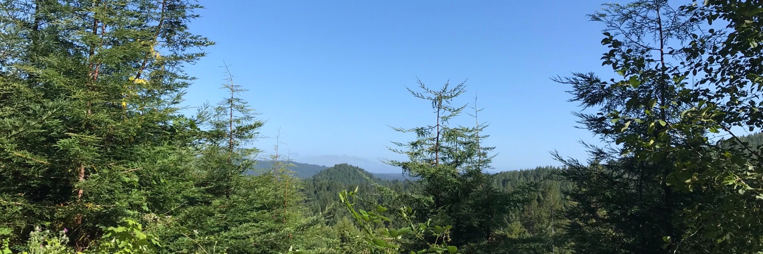 jbinnie7's profile banner image