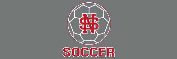 LadyLancersSocr Profile Banner