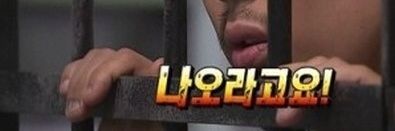 teehee_5ho's profile banner image