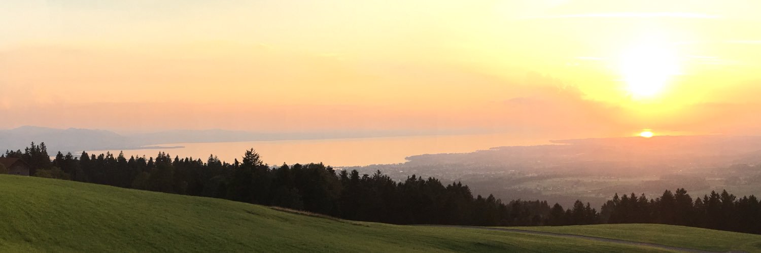 EsteGoAri's profile banner image