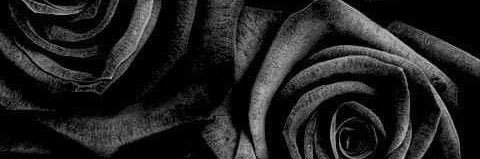 melconde's profile banner image