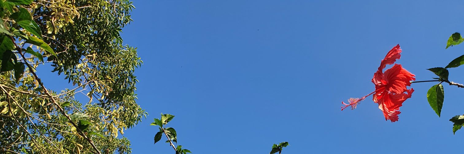 pedroeichh's profile banner image